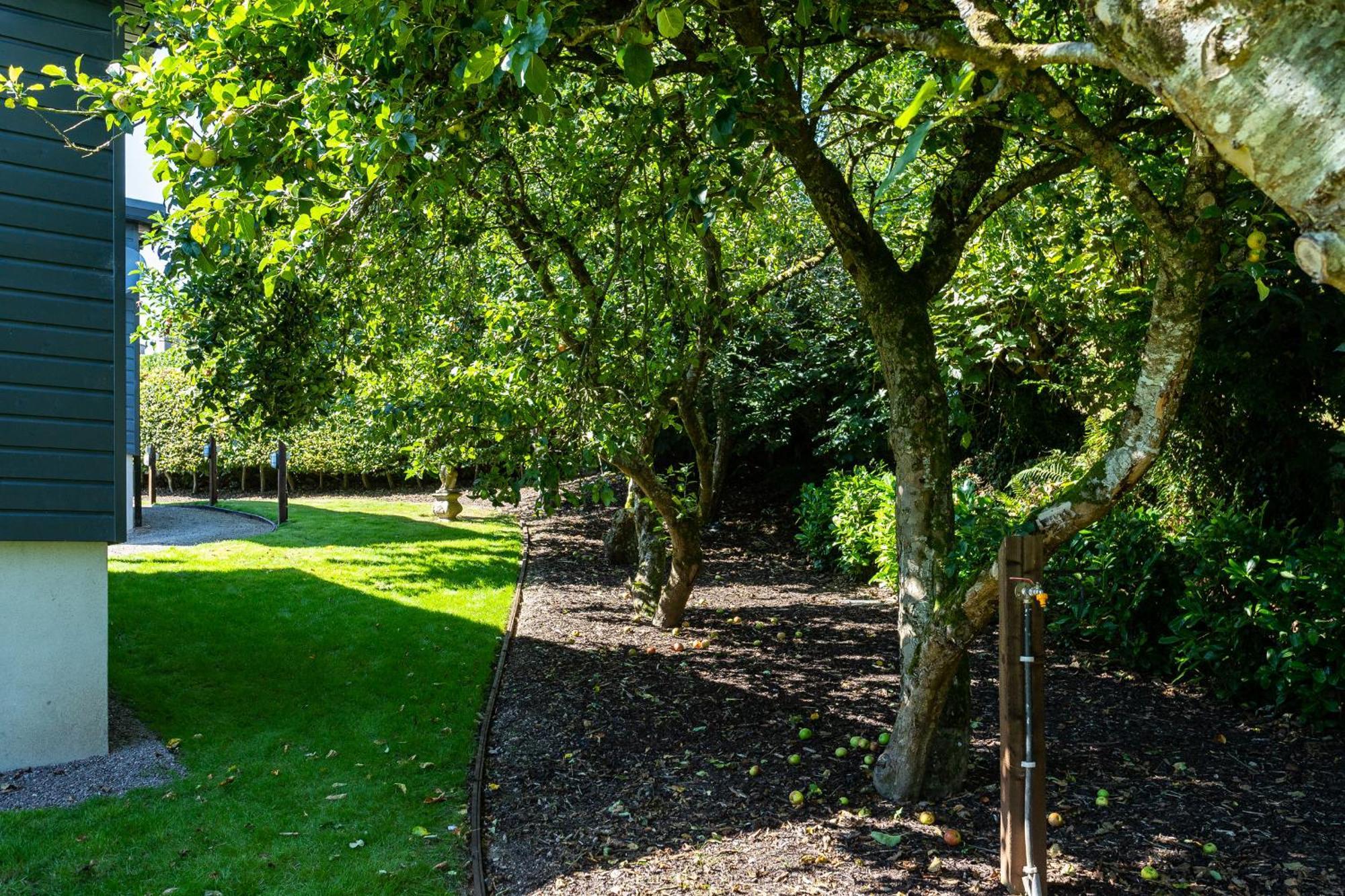The Loft, Apple Lodge & Blossom Lodge Macroom Eksteriør bilde